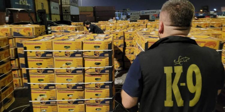 ضبط كوكايين في حاوية موز بميناء مرسين