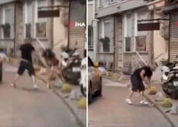 تركيا.. سحب ترخيص سائق اعتدى على سائحة عربية