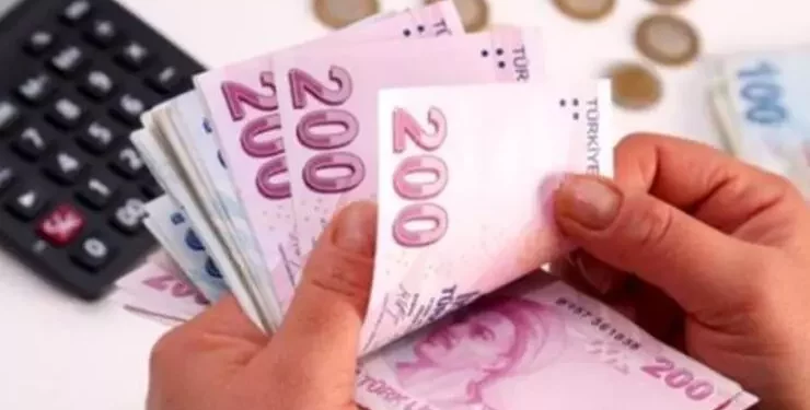 خبير اقتصادي: التضخم في تركيا سيبلغ 56%  