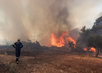 40 شخصا يفقدون حياتهم في دول البحر المتوسط بسبب حرائق الغابات