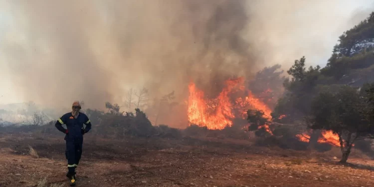 40 شخصا يفقدون حياتهم في دول البحر المتوسط بسبب حرائق الغابات
