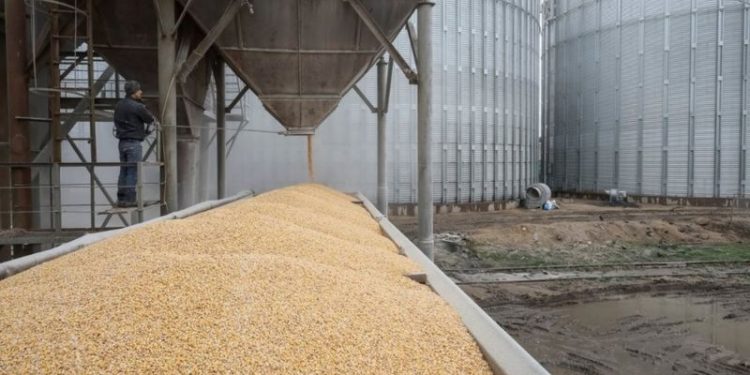 روسيا توقف العمل باتفاقية تصدير الحبوب