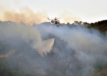 وزير تركي يكشف الخسائر الأولية لحرائق الغابات في 3 ولايات