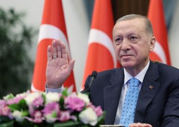 أردوغان وسيناريوهات الولاية الثالثة (٨) 