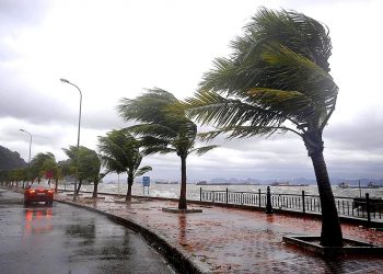 رياح وأمطار.. طقس الخميس في تركيا