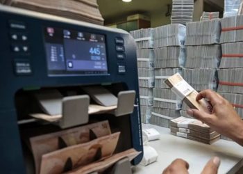تجاوز حجم الودائع المحمية بالعملة 3.1 تريليون ليرة تركية