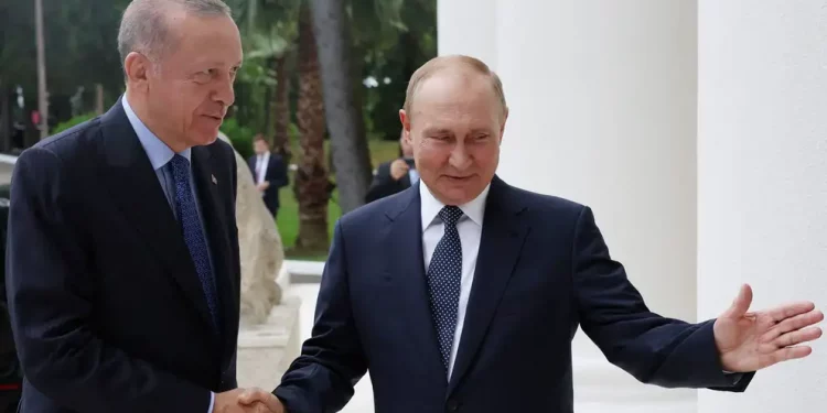 بوتين يبلغ أردوغان أنه سيزور تركيا