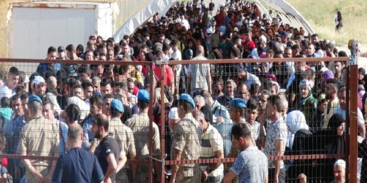 صحفي: معدل خصوبة المرأة التركية 2 والسوريات 6!