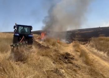 احتراق 2250 دونما من القمح في سيفاس 