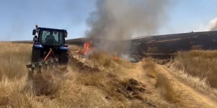 احتراق 2250 دونما من القمح في سيفاس