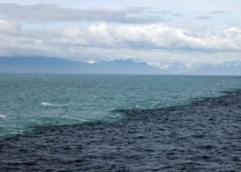 البحران لا يلتئمان