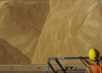 أوكرانيا تتعهد بإنشاء مركز حبوب في أفريقيا