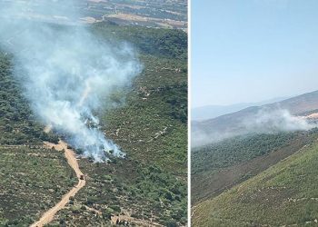 تركيا.. اندلاع حريق غابات في إزمير