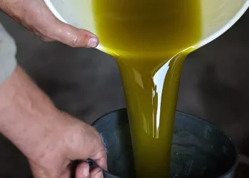 تناول زيت الزيتون يوميا يقلل خطر الوفاة الناجم عن الخرف بنسبة 28%