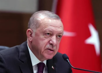 أردوغان يدعو أوكرانيا لتخفيف موقفها بمفاوضات “الحبوب” مع روسيا