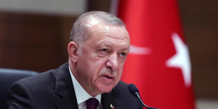 أردوغان يدعو أوكرانيا لتخفيف موقفها بمفاوضات “الحبوب” مع روسيا