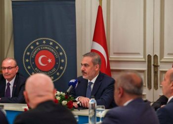 وزير الخارجية التركي يلتقي السيسي