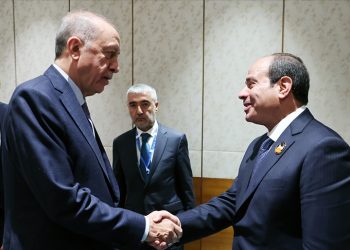 أردوغان يبلغ السيسي معارضته تهجيير الفلسطينيين