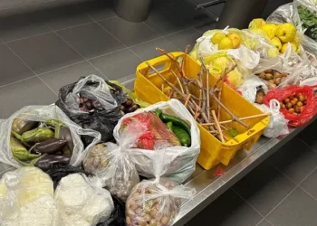 ألمانيا تصادر أغذية بحوزة ركاب أتراك لهذا السبب..