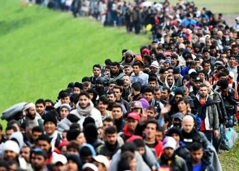 ارتفاع كبير في عدد الأتراك الذين يحاولون الهجرة إلى ألمانيا