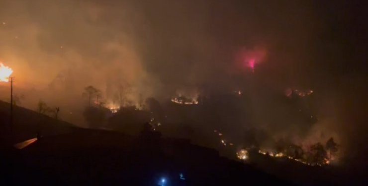 اندلاع حرائق غابات في طرابزون بسبب الرياح القوبة
