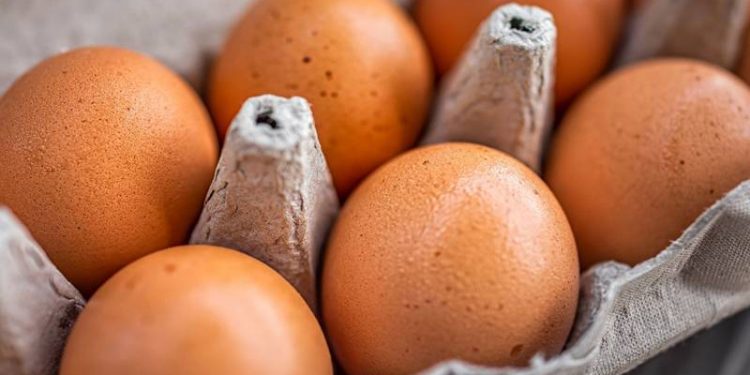 روسيا تنتظر البيض من تركيا للمساهمة في خفض الأسعار