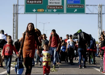 عدد السوريين الحاصلين على الجنسية التركية حتى 2023