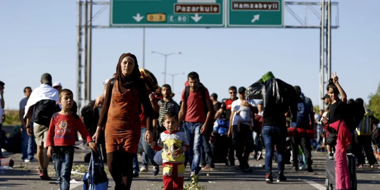 عدد السوريين الحاصلين على الجنسية التركية حتى 2023