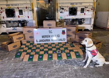تركيا.. ضبط 77 كجم كوكايين في ميناء مرسين
