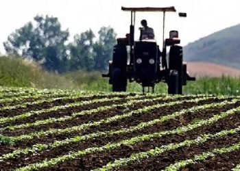 تركيا.. 41٪ زيادة بأسعار المدخلات الزراعية