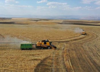 تركيا تستورد منتجات زراعية بقيمة 14 مليار دولار