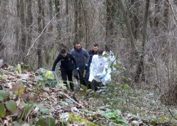 إسطنبول.. 3 جثث في غابة بلغراد خلال 40 يوما