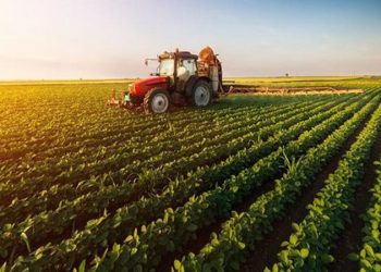 التضخم الزراعي في تركيا يسجل 49.92%