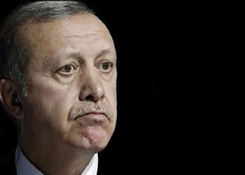 هل يتنازل أردوغان عن زعامة الحزب الحاكم؟