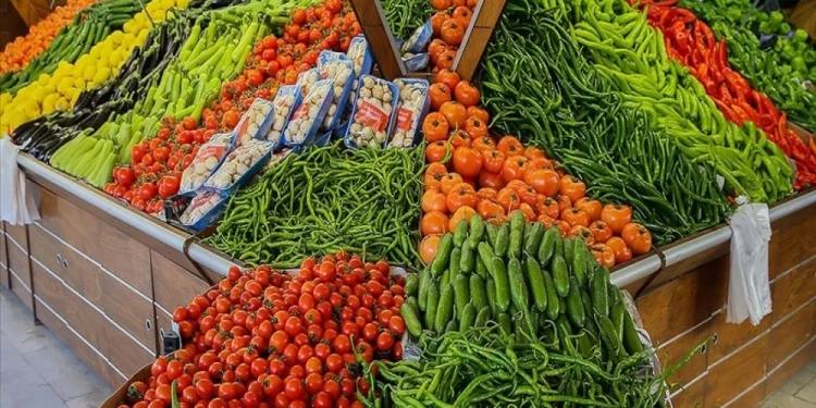 روسيا أكثر الدول استيرادًا للخضروات من تركيا