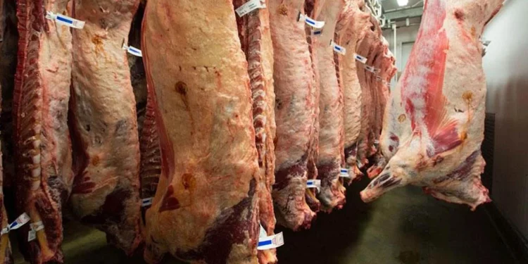 اكتشاف سالمونيلا في لحوم تستوردها تركيا من أوكرانيا!