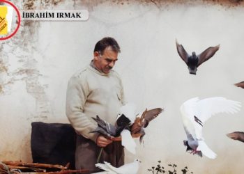 عبد الله أوجلان يحرم من الزيارة العائلية لمدة 3 أشهر