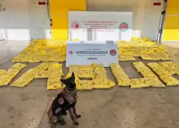 ضبط مليون حبة مخدرة في تركيا