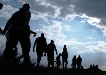 معدل قبول لجوء الأتراك في سويسرا مرتفع