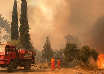 حرائق الغابات في “ديار بكر” و”ماردين” توقع عشرات الضحايا