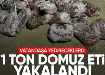 تركيا..ضبط طن لحوم خنزير في أيدين!