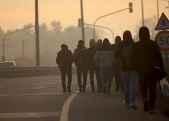  اعتقال 12 مهاجرًا غير شرعي في أدرنة