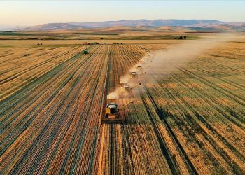 ارتفاع تضخم المدخلات الزراعية في تركيا