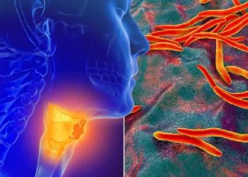 اكتشاف بكتيريا قادرة على تدمير 99% من الخلايا السرطانية