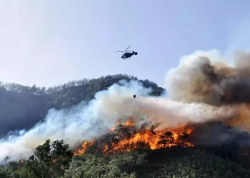 حرائق غابات في أنطاليا