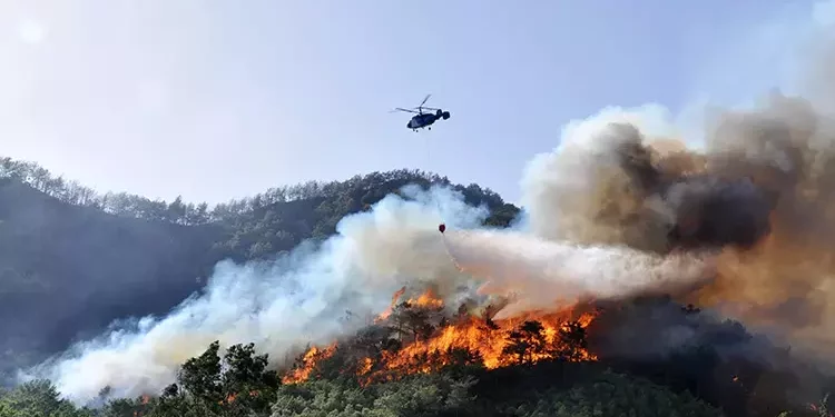 حرائق غابات في أنطاليا