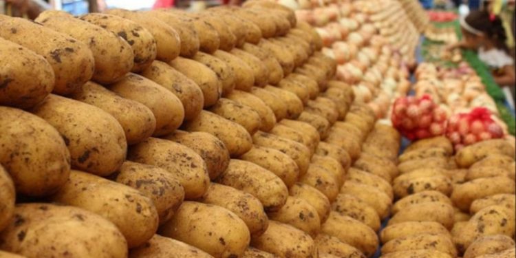 برلماني سابق: تركيا تحولت من الإنتاج الزراعي إلى الاستيراد