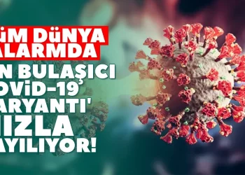 سلالة كورونا الأكثر عدوى تنتشر بسرعة في الولايات المتحدة!