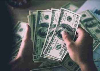 اقتصادي تركي: الدولار سيشهد ثباتًا أمام الليرة لمدة عامين