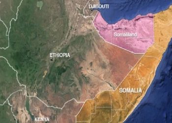 هل تتدخل تركيا لحل الأزمة بين صوماليلاند وجيبوتي